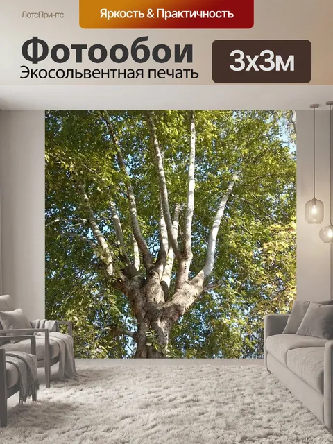 Фотообои Дерево