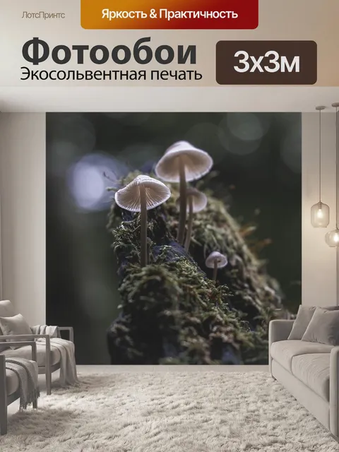 Фотообои Грибы