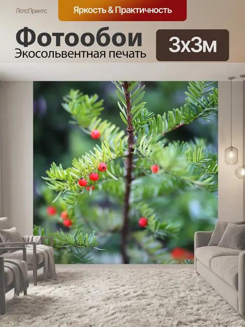 Фотообои Дерево