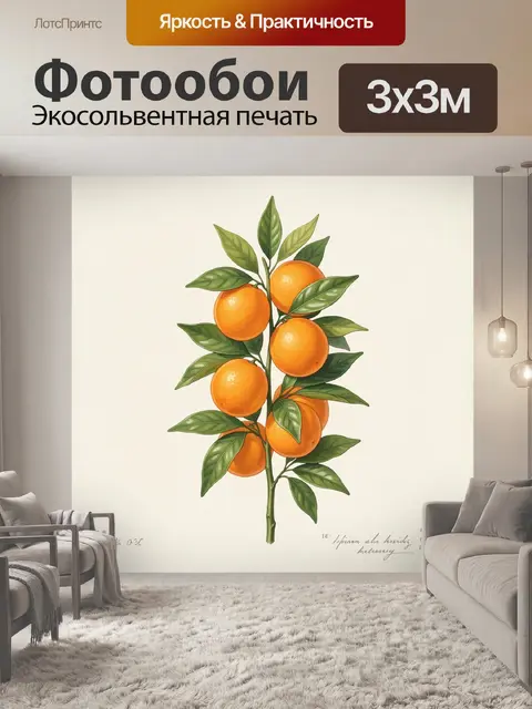 Фотообои Ветка апельсина с плодами