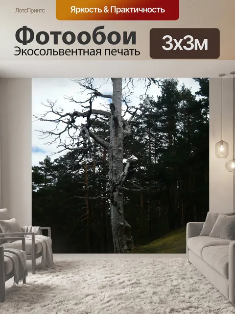 Фотообои Дерево
