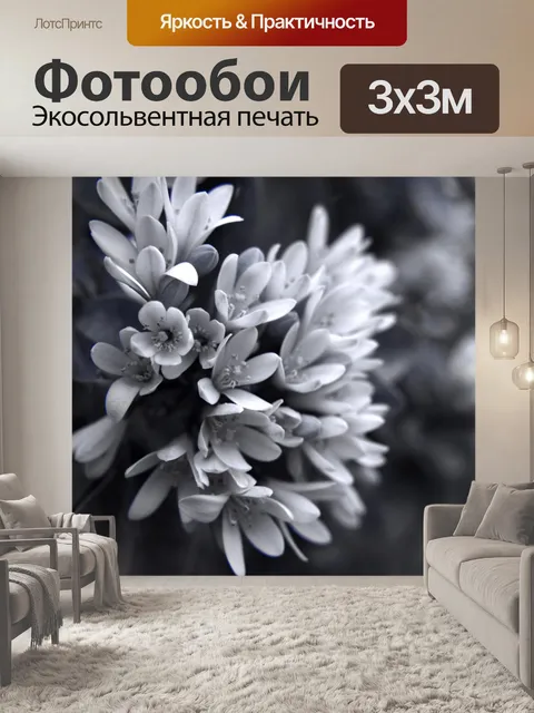 Фотообои Муррая 4