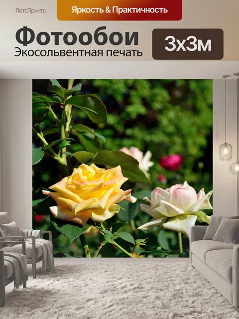 Фотообои Цветы