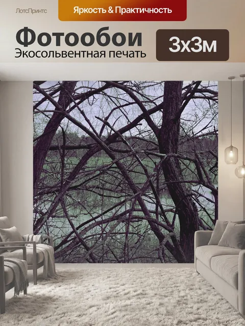 Фотообои Ветви