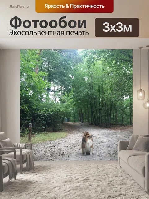 Фотообои Природа