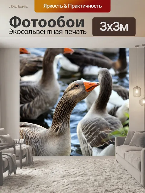 Фотообои Птица