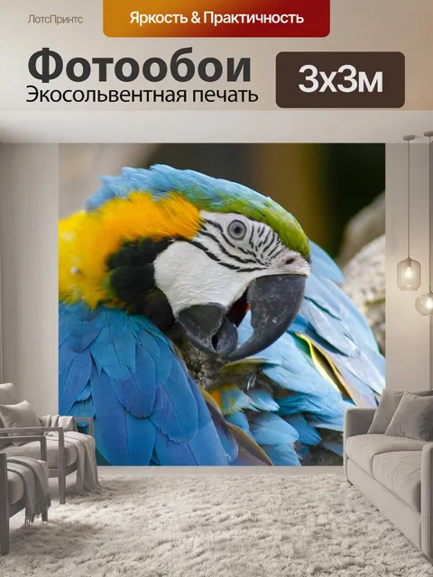 Фотообои Птица