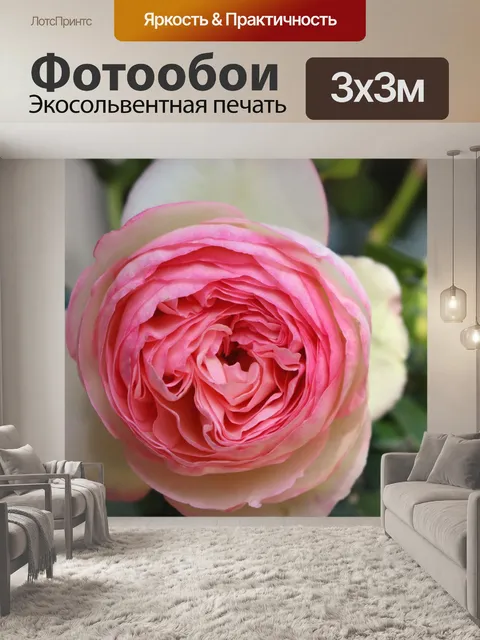 Фотообои Розовый