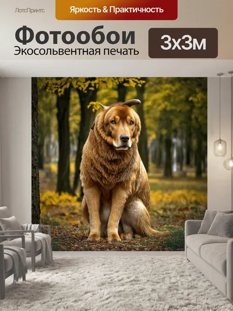Фотообои они предоставлены на русском и английском языках, разделены символом "