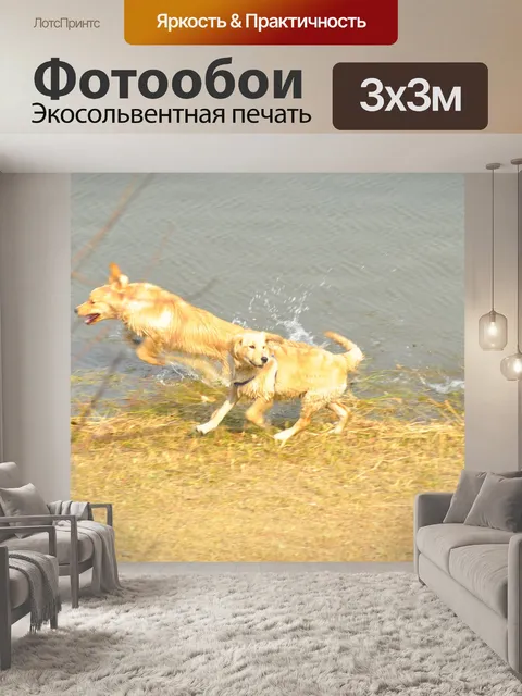 Фотообои Собака