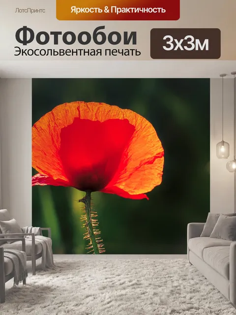 Фотообои Мак