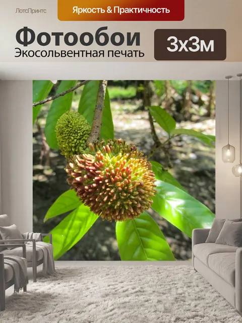 Фотообои Фрукты