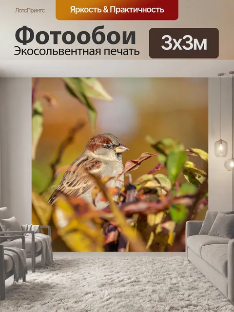 Фотообои Птица