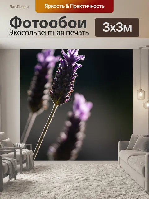 Фотообои Лаванда