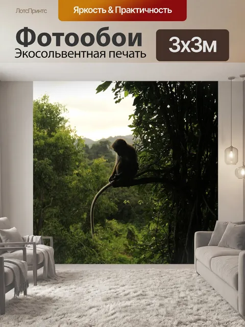 Фотообои Обезьяна