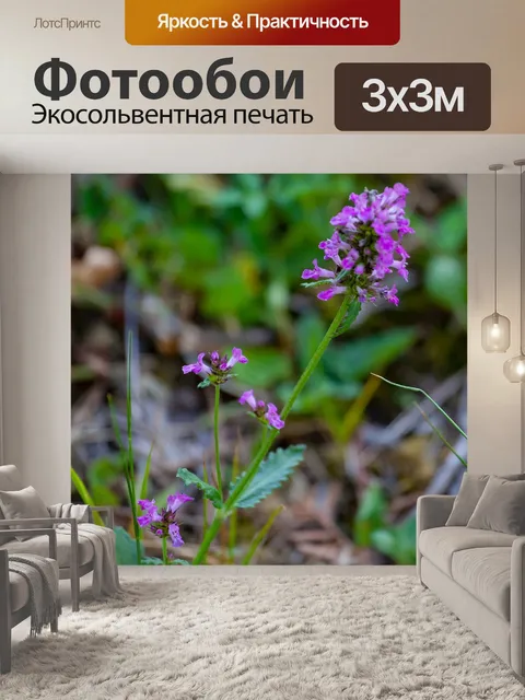 Фотообои Бетоны