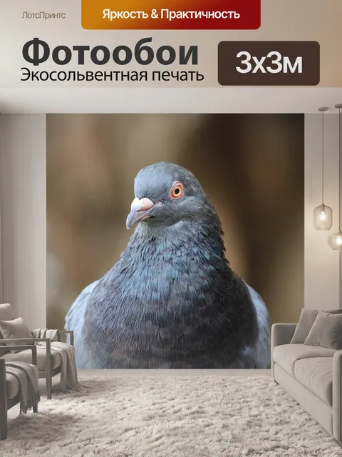 Фотообои Птица