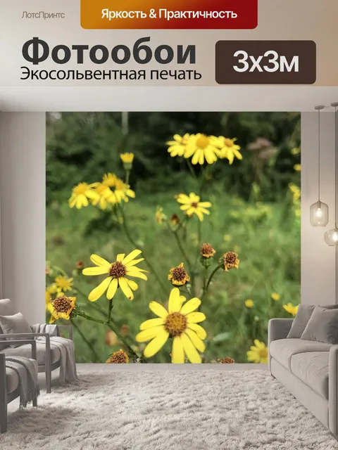 Фотообои Цветок
