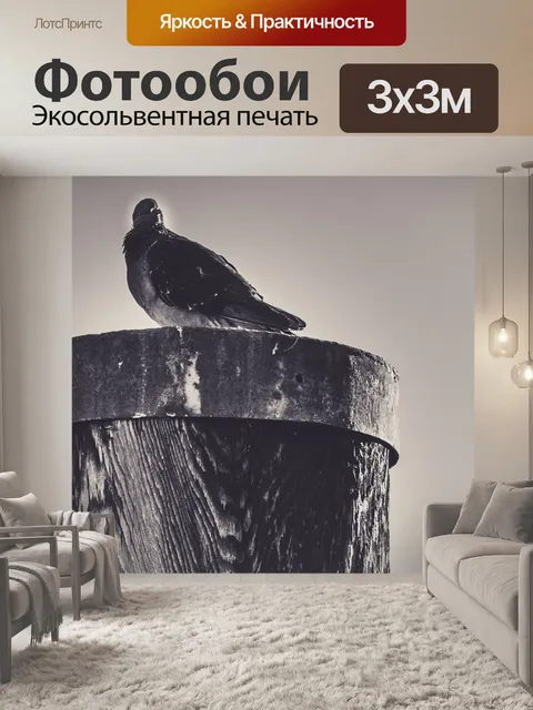 Фотообои Город голубь