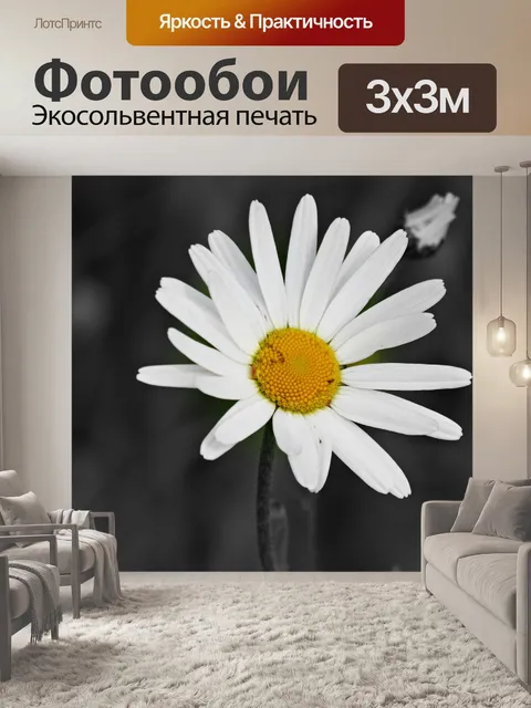 Фотообои Цветы