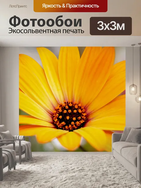 Фотообои Природа