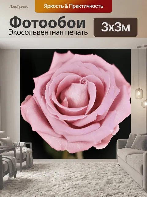 Фотообои Роуз