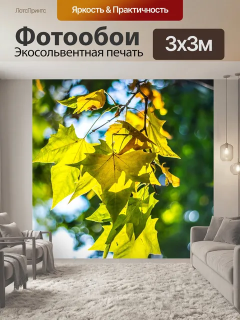 Фотообои Листья