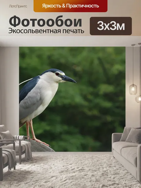Фотообои Ночная цапля