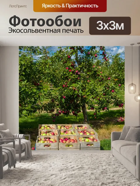 Фотообои Яблочный сад