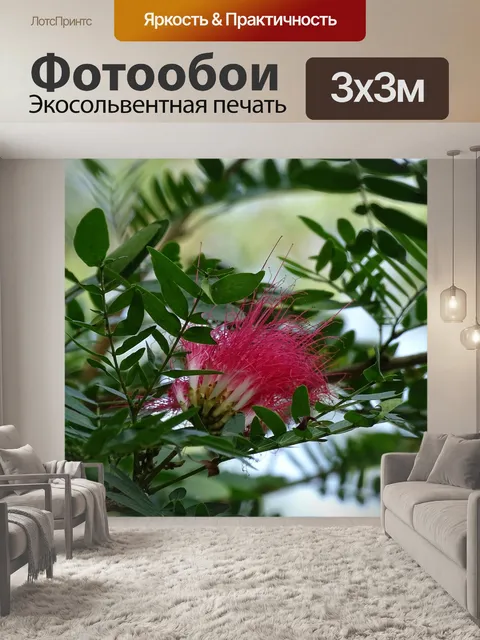 Фотообои Природа