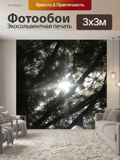Фотообои Солнечный свет через ветви