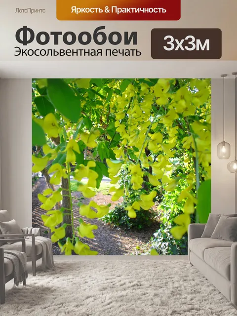 Фотообои Цветок цветение желтый