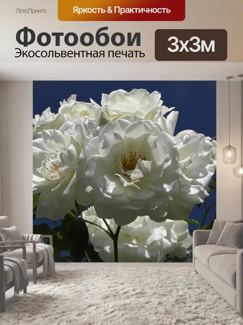 Фотообои Розы цветы
