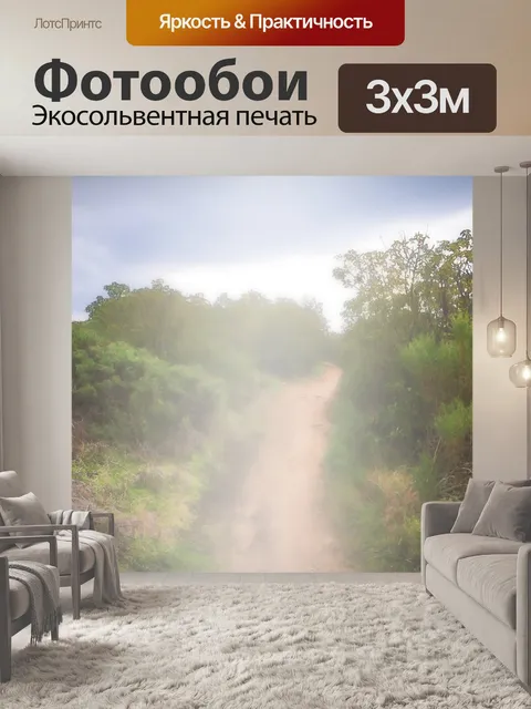 Фотообои Туманный путь грязи