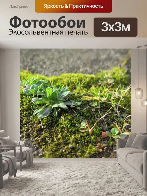 Фотообои Трава