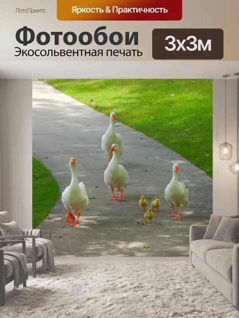 Фотообои Птицы