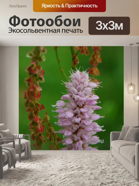 Фотообои Ергаки