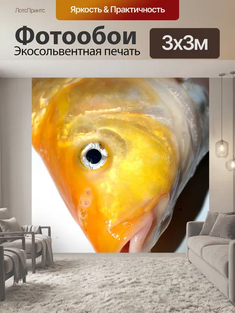 Фотообои Пресноводная рыба фото