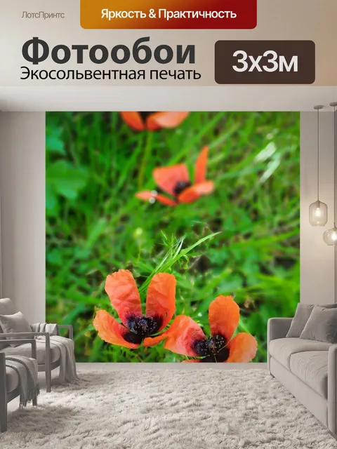 Фотообои Маки