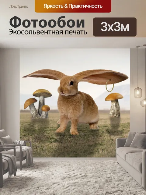 Фотообои Заяц