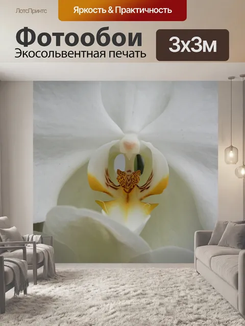 Фотообои Цветок