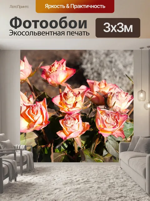 Фотообои Розы