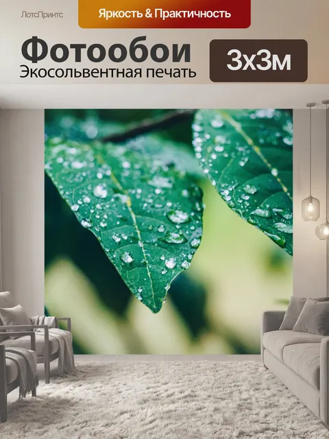 Фотообои Мокрый