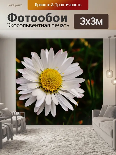 Фотообои Весенний луг