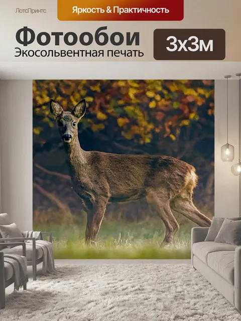 Фотообои Косуля