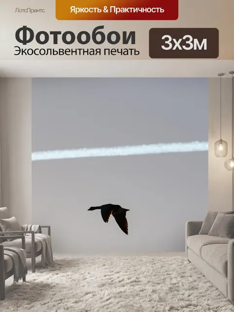 Фотообои Летающий гусь