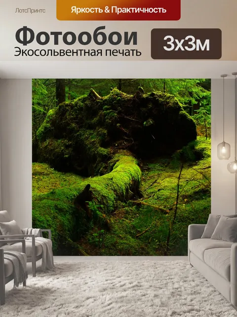 Фотообои Лес