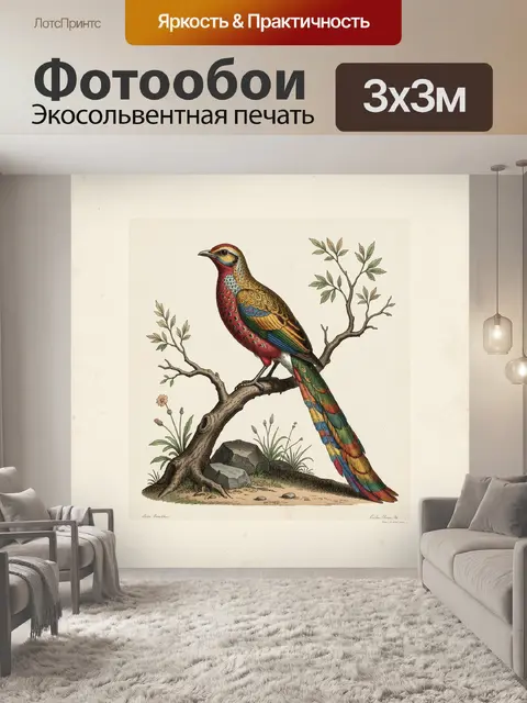 Фотообои Экзотическая птица на ветке