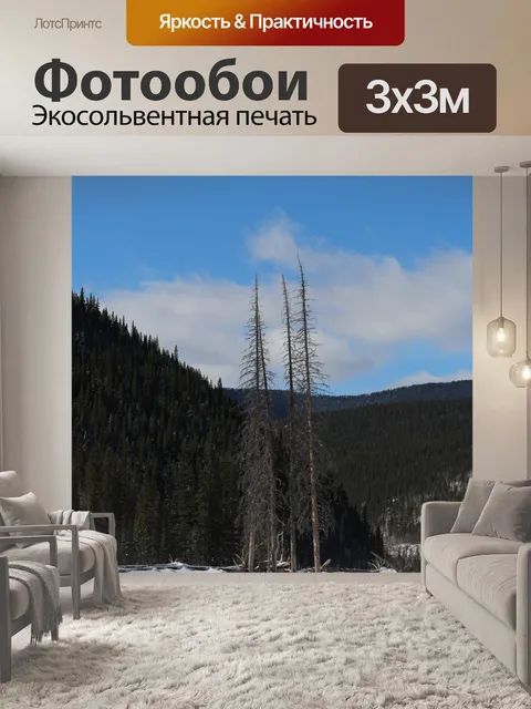 Фотообои Деревья в речной долине