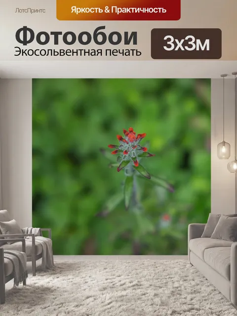 Фотообои Цветы